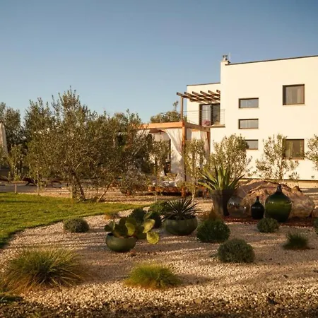 Hotel Sunshine 4*